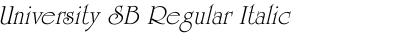 University SB Regular Italic